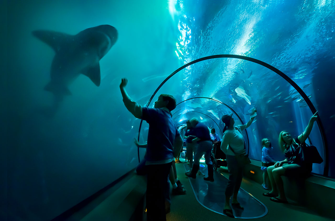 People & Animals Alex Morley Photography