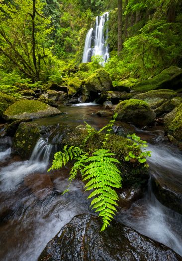Oregon Coast Range Waterfall